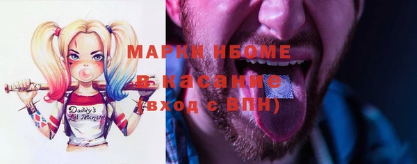 стаф Богданович