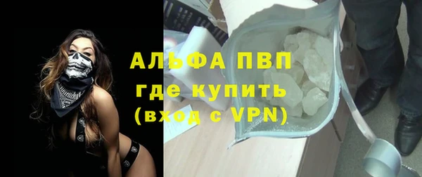 стаф Богданович